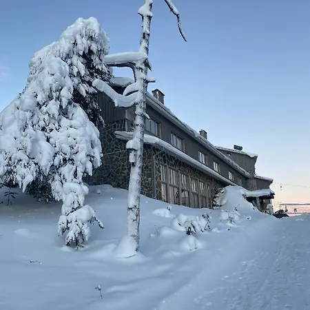 Huoneisto Holysuites 2 - Ski-in And Out In The Middle Of Slopes In Pyhae